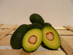 Alvocat Hass / Aguacate Hass ECO