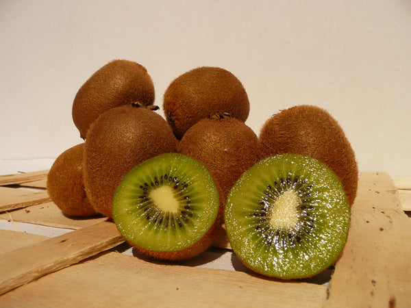 Kiwi Zespri - Bioleida